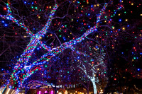 holiday lights glow at mears park