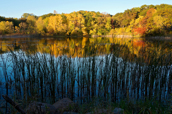 Marthaler Pond Autumn Reflections