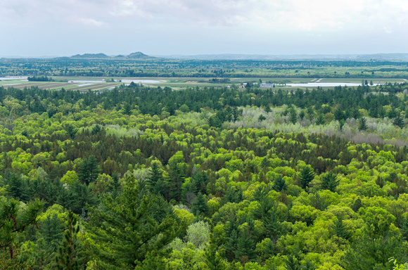 Aerial View of Black River State Forest