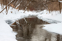 Minnehaha Creek Flowing Through Snow Covered Forest