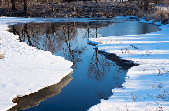 Winter Reflections during Thaw