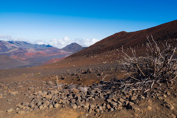 barren slopes and cinder cones of haleakala crater