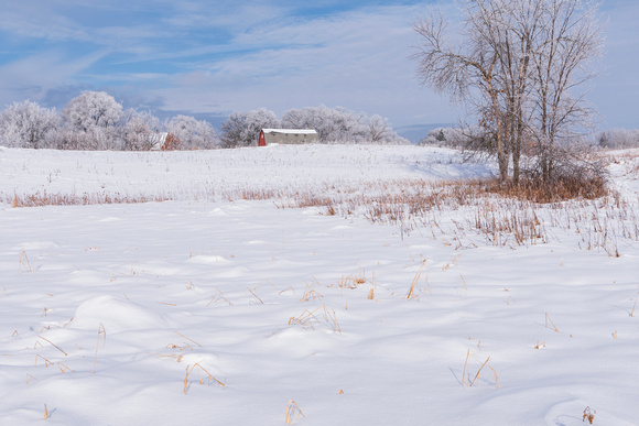 snow covered field and frosted trees surrounding barn