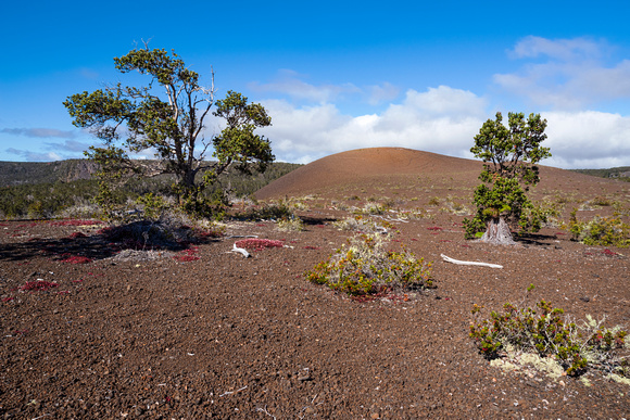 pu upua i cinder cone at hawaii volcanoes national park