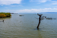 lake chapala along ajijic and chapala on horizon