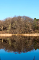 Marthaler Park Pond and Forest Reflections