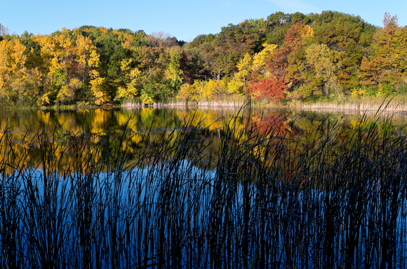 Marthaler Pond Autumn Morning