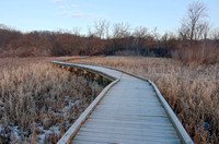 Boardwalk Wetlands and Forest at Refuge