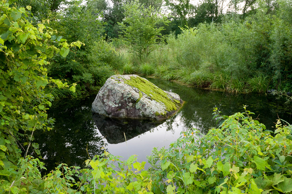 Pond and Mossy Rock