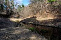 Battle Creek Bend Through Forest