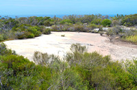 North Head Sanctuary Landscape