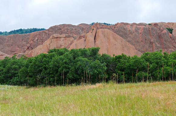 Meadow Trees and Sandstone at Roxborough