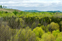 Forests and Hills near Black River Falls