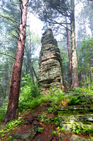 Castellated Mound in State Forest