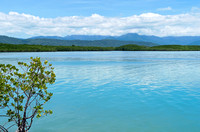 Coral Sea and Forest at Port Douglas