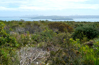 North Head Sanctuary and Sydney Harbor