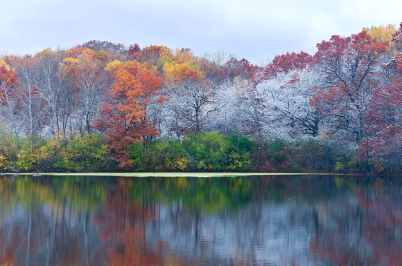 Marthaler Pond  And Frosty Autumn Trees