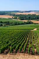 overlooking vineyards and countryside of chablis