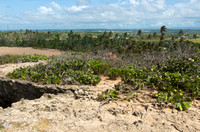 Coastal Plains and Rugged Landscape of Punta Las Tunas