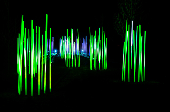 Light Tubes Illuminated at Night in Park