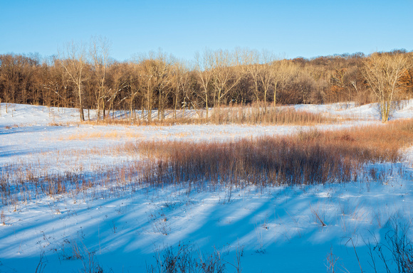 Snowy Woodlands and Prairie of Battle Creek