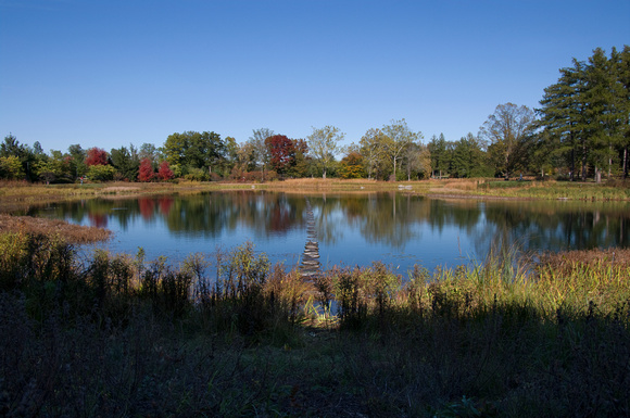 Meadow Lake at Morton Arboretum