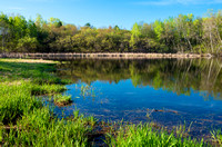 Marsh Grasses and Woodlands Surrounding Salem Hills Pond