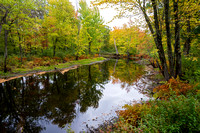 maquam creek through woodlands during autumn