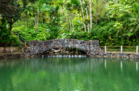 Bridge and pool at bano de oro trail