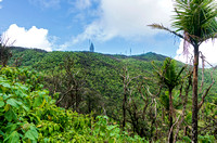El yunque rainforest and mountaintop