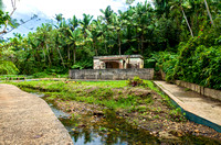 Rainforest and abandoned bath house