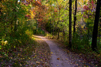 autumn scenery at regional park