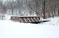 Kaposia Park Snow Covered Bridge