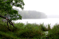 Lake Alimagnet in a Fog
