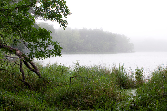Lake Alimagnet in a Fog