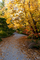 Autumn at Botanical Garden in Madison
